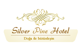 Silver Pine Hotel Logo